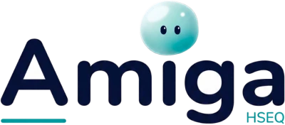 Amiga HSEQ